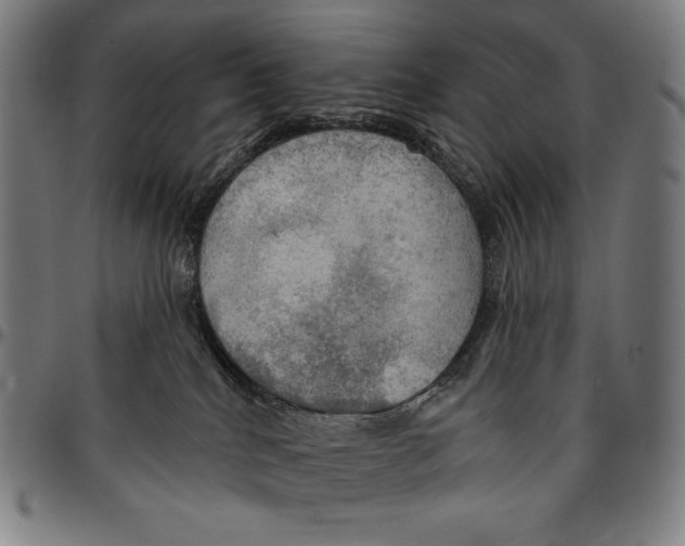 X0000095110040200801041211