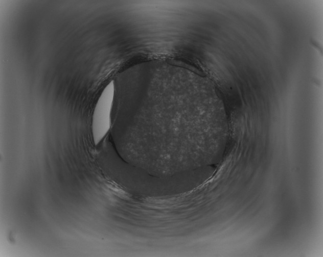 X0000095110041200801041211