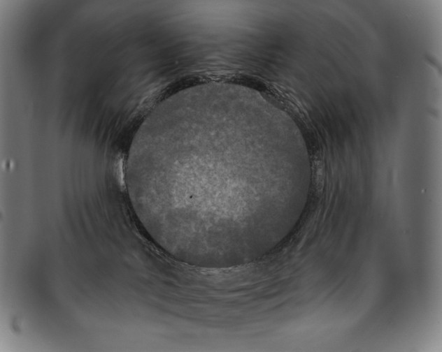 X0000095110042200801041211