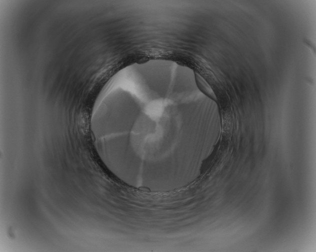 X0000095110043200801041211