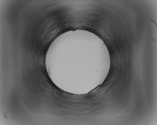 X0000095110044200801041211
