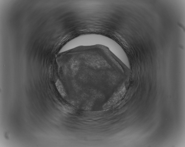 X0000095110045200801041211