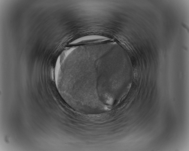 X0000095110046200801041211