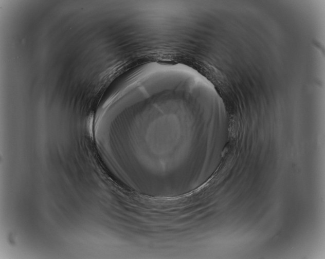 X0000095110047200801041210
