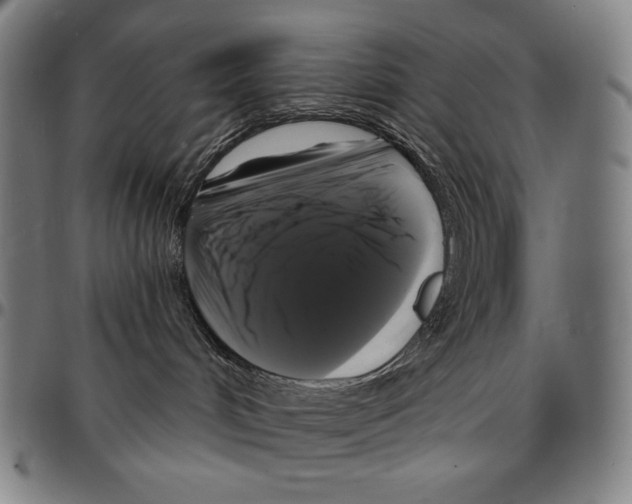 X0000095110048200801041210