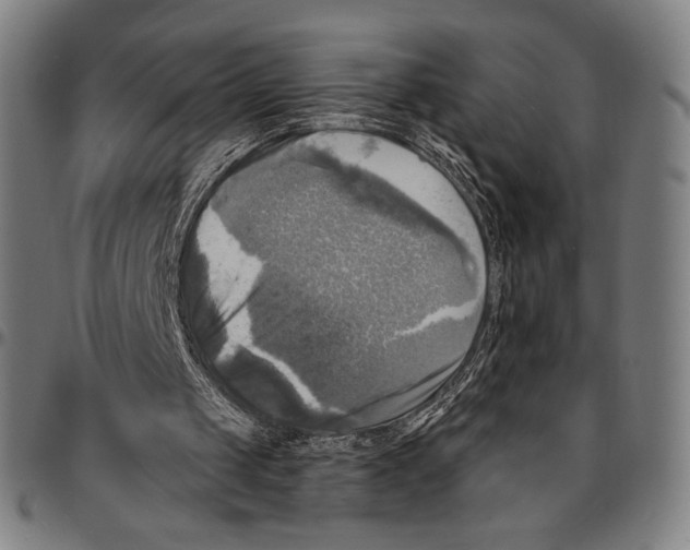 X0000095110049200801041210