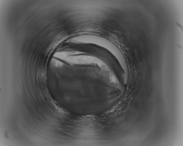 X0000095110050200801041210