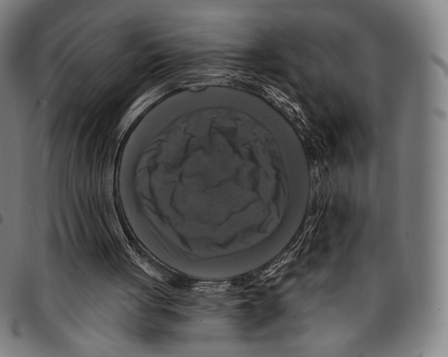 X0000095110051200801041210