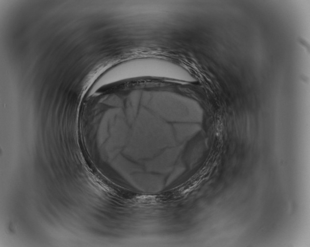 X0000095110052200801041210