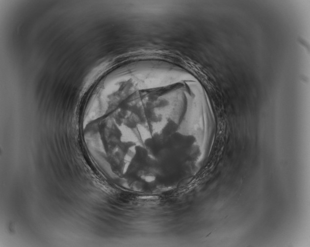 X0000095110053200801041210