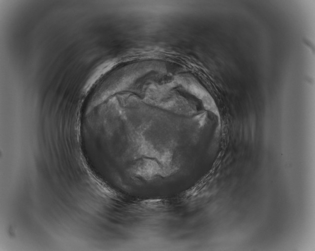 X0000095110054200801041210
