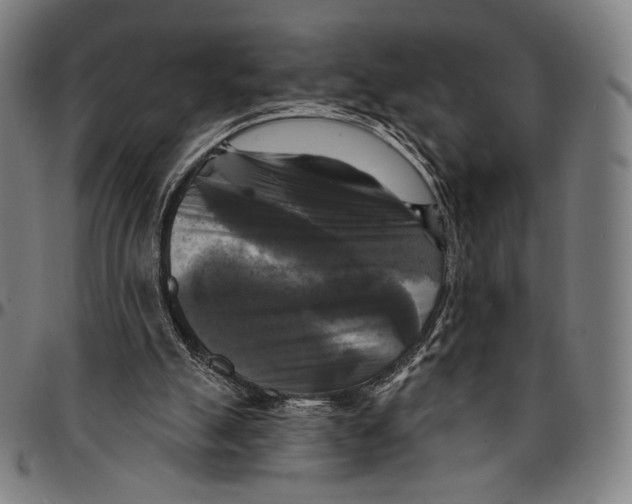 X0000095110055200801041210