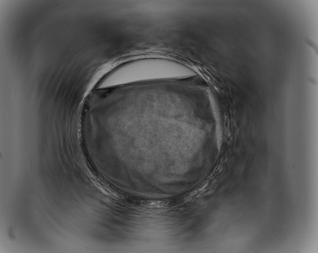 X0000095110056200801041210