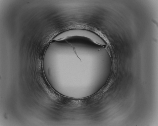 X0000095110057200801041210