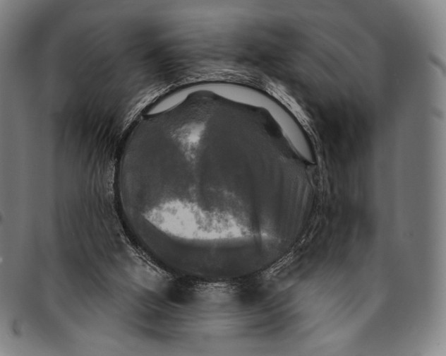 X0000095110058200801041210