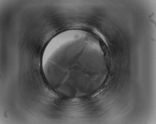 X0000095110059200801041210