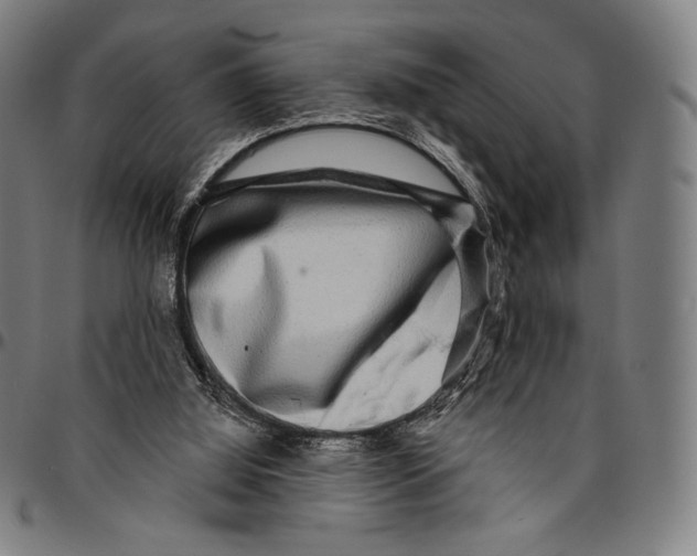 X0000095110060200801041210