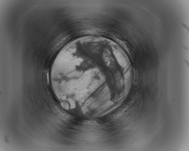 X0000095110061200801041210