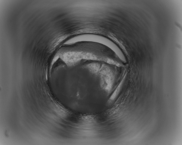 X0000095110062200801041210