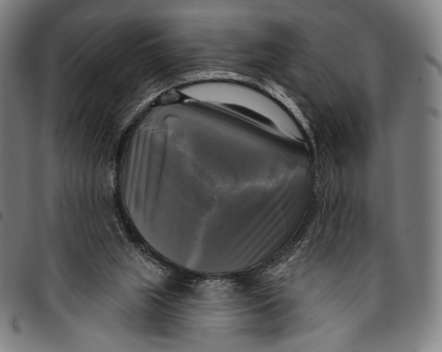X0000095110063200801041210