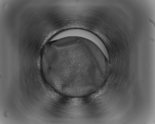 X0000095110064200801041210