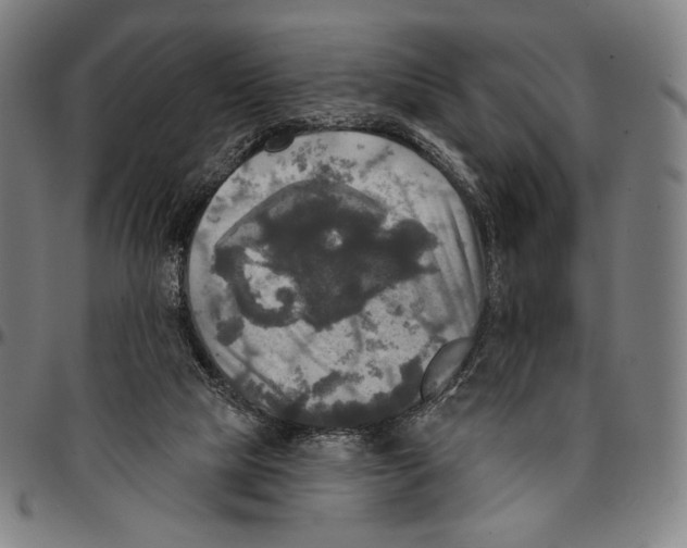 X0000095110065200801041210