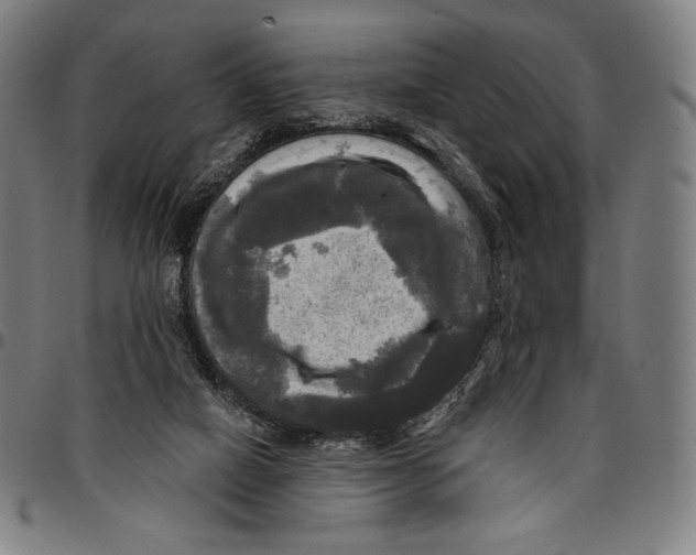 X0000095110066200801041210