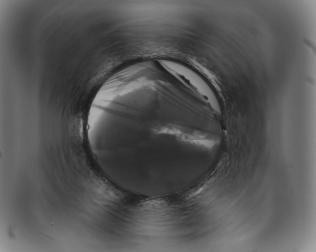X0000095110067200801041210