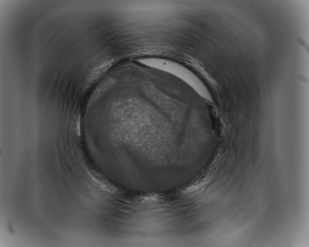 X0000095110068200801041210