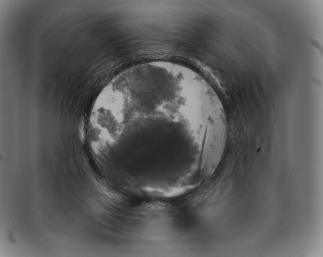 X0000095110069200801041210