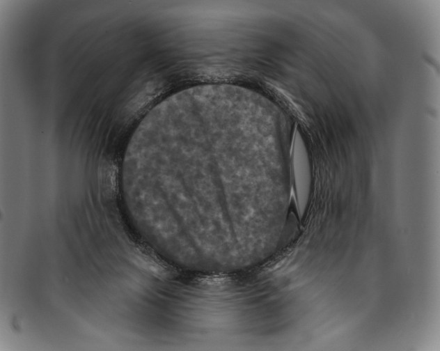 X0000095110071200801041210