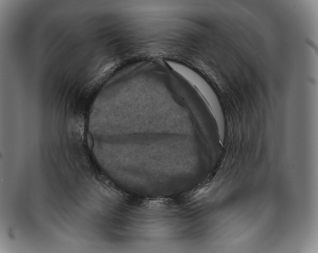 X0000095110072200801041210
