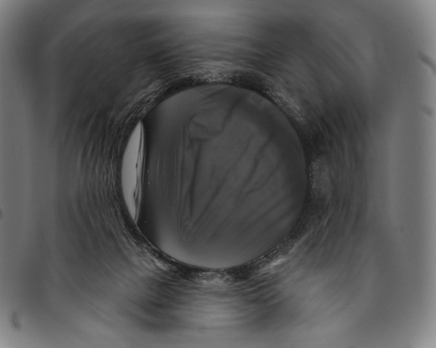X0000095110073200801041210