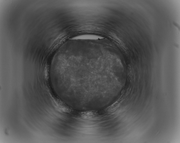 X0000095110074200801041210
