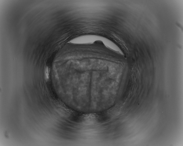X0000095110075200801041210