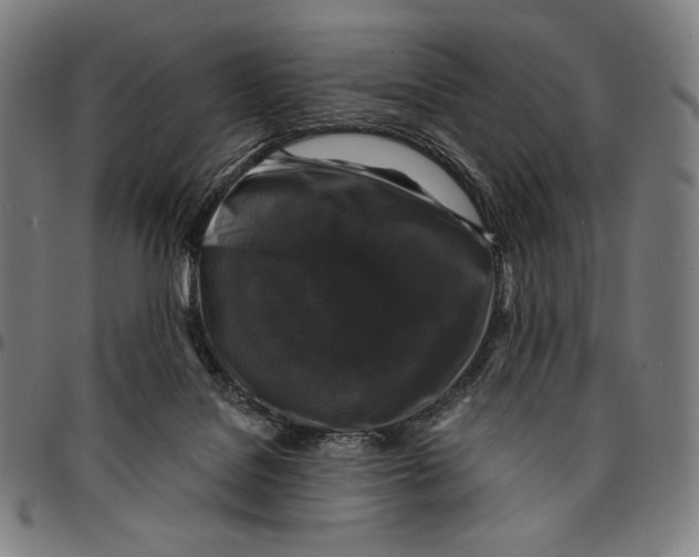 X0000095110076200801041210