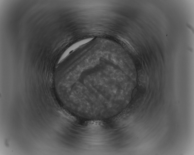 X0000095110077200801041210