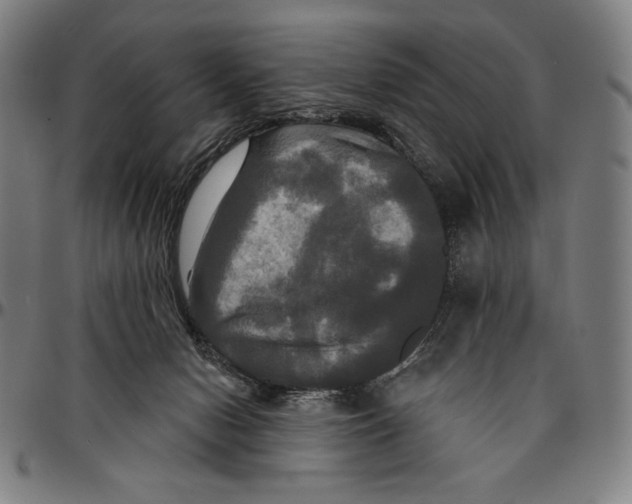 X0000095110078200801041210