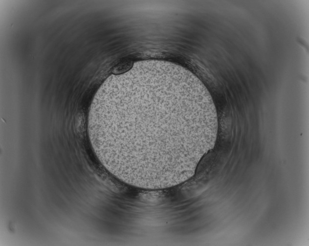 X0000095110079200801041210