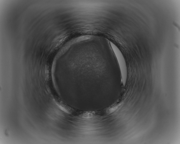 X0000095110080200801041210