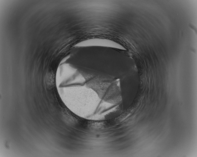 X0000095110081200801041210