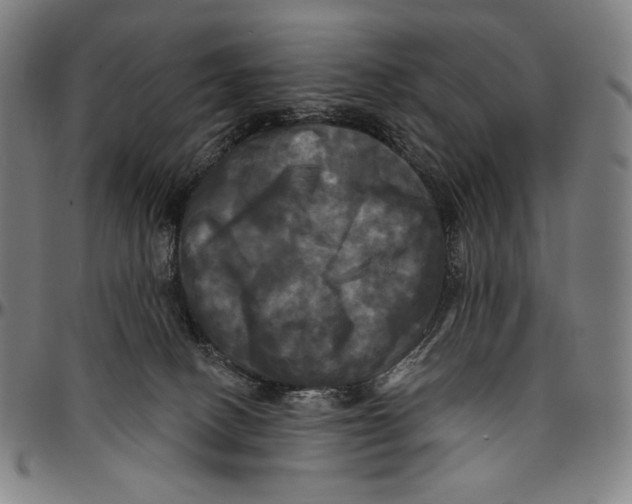 X0000095110082200801041210