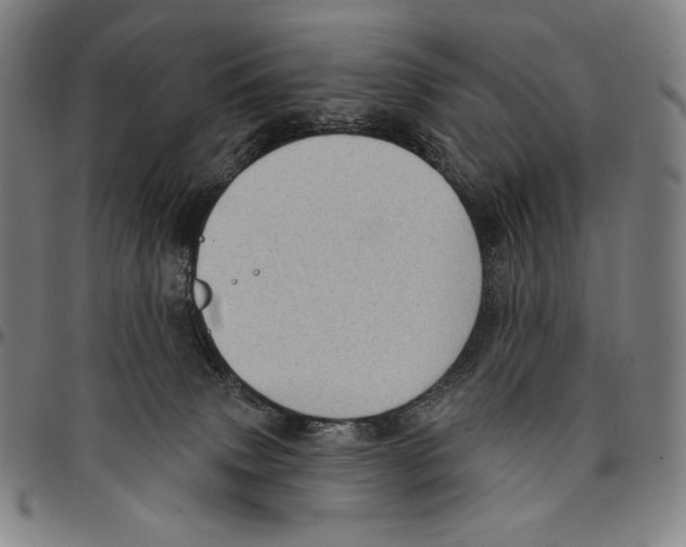 X0000095110083200801041210
