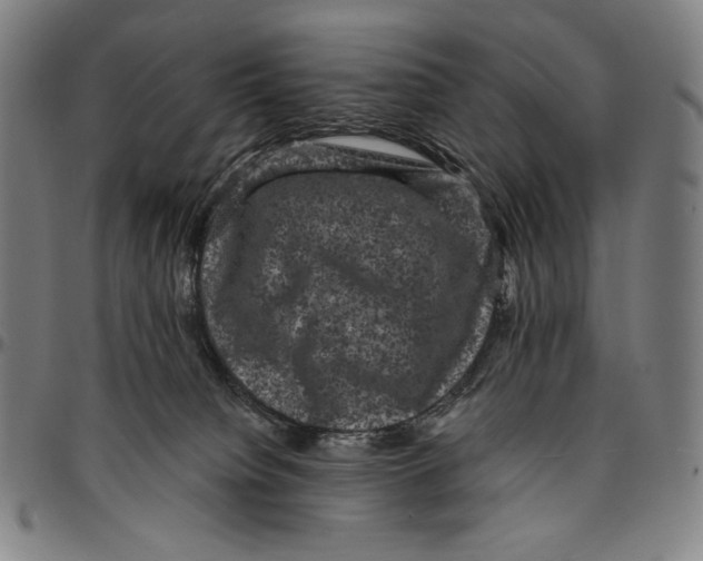 X0000095110084200801041210