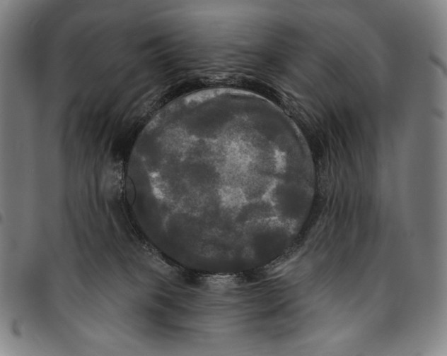 X0000095110085200801041210