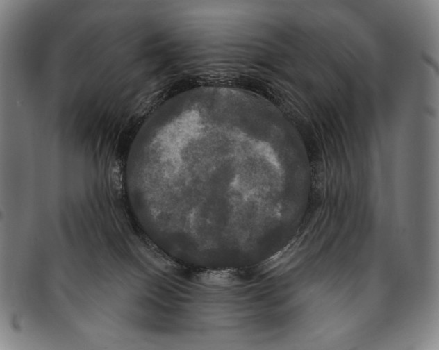 X0000095110086200801041210