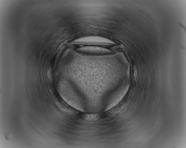 X0000095110088200801041210