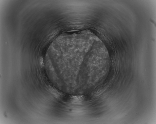X0000095110089200801041210