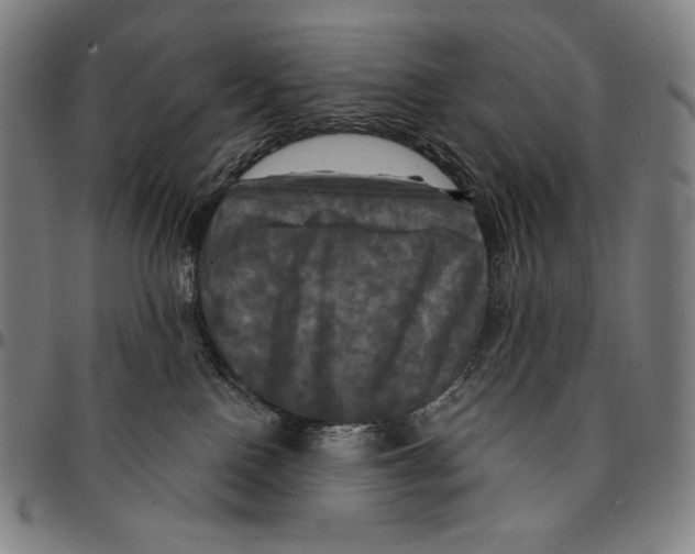 X0000095110090200801041210