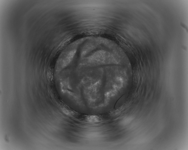 X0000095110091200801041210